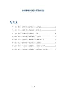 胰腺移植后神经损伤修复