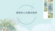 感染性心内膜炎病例