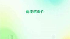 禽流感课件