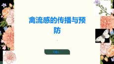 禽流感如何避免禽流感的传播