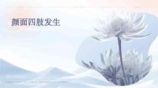 颜面四肢发生