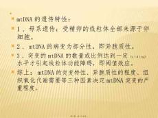 医学专题线粒体脑肌病介绍.ppt