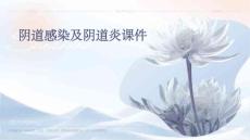 阴道感染及阴道炎课件