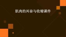 肌肉的兴奋与收缩课件