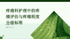 疼痛科护理中的疼痛评估与疼痛程度分级标准