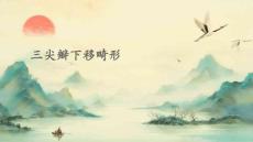 三尖瓣下移畸形
