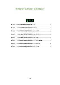 桡神经沟神经损伤的干细胞移植治疗