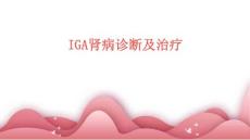 IgA肾病诊断及治疗