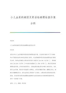 小儿血尿的病因及肾活检病理检查价值分析
