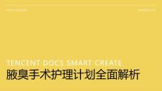 腋臭手术护理计划PPT