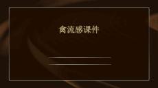 禽流感课件