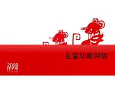 左室功能评估