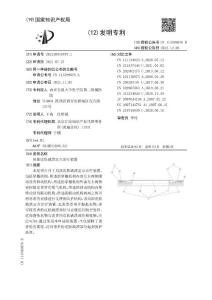 局部皮肤破溃定点治疗装置