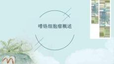 嗜铬细胞瘤概述