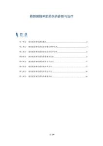 桡侧腕短伸肌损伤的诊断与治疗
