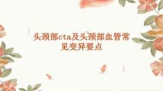 头颈部CTA及头颈部血管常见变异要点
