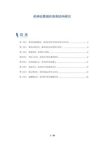 视神经萎缩的微观结构研究