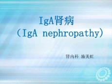 IgA肾病ppt课件
