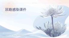 尿路感染课件