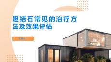 胆结石常见的胆结石治疗方法和效果评估