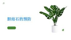 胆结石如何预防胆结石的发生