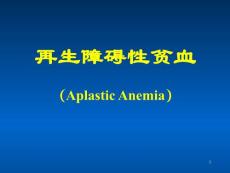再生障碍性贫血PPT课件