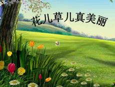 花兒草兒真美麗