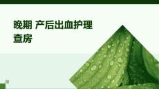 晚期 产后出血护理查房ppt