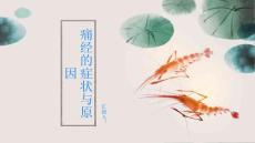 痛经困扰你详解痛经的症状与原因PPT