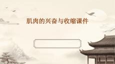 肌肉的兴奋与收缩课件