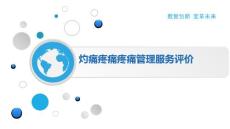 灼痛疼痛疼痛管理服务评价