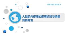 大腿肌肉疼痛的疼痛机制与镇痛药物开发
