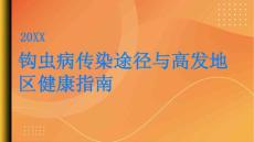 健康指南钩虫病的传染途径和高发地区PPT