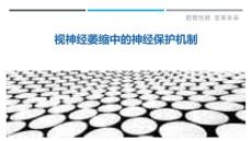 视神经萎缩中的神经保护机制