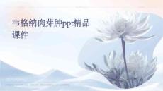 韦格纳肉芽肿PPT精品课件