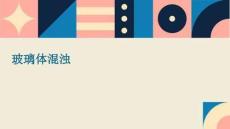 玻璃体混浊