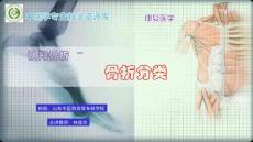 认知骨折-骨折分类