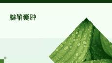 腱鞘囊肿