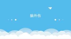 2脑外伤