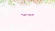肾炎病理详