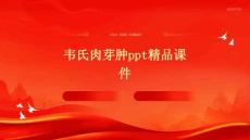 韦氏肉芽肿PPT精品课件