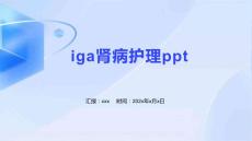 iga肾病护理ppt