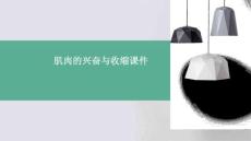 肌肉的兴奋与收缩课件