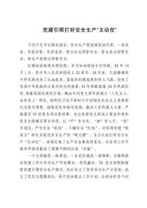 党建引领打好安全生产“主动仗”安全工作回顾总结