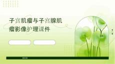 子宫肌瘤与子宫腺肌瘤影像护理课件