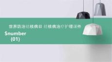 世界防治结核病日 结核病治疗护理课件
