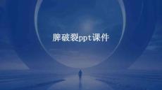 脾破裂ppt课件