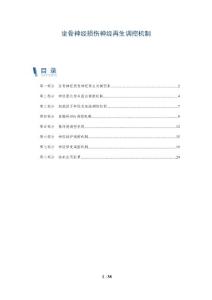 坐骨神经损伤神经再生调控机制
