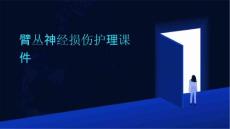 臂丛神经损伤护理课件