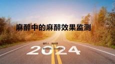 麻醉中的麻醉效果监测